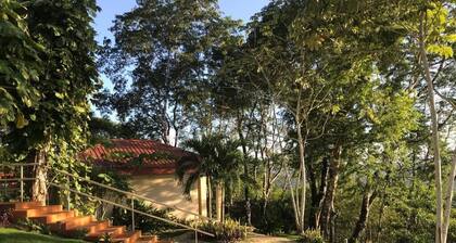 Luxury, affordable, close to town and all of the attractions in the CAYO area...