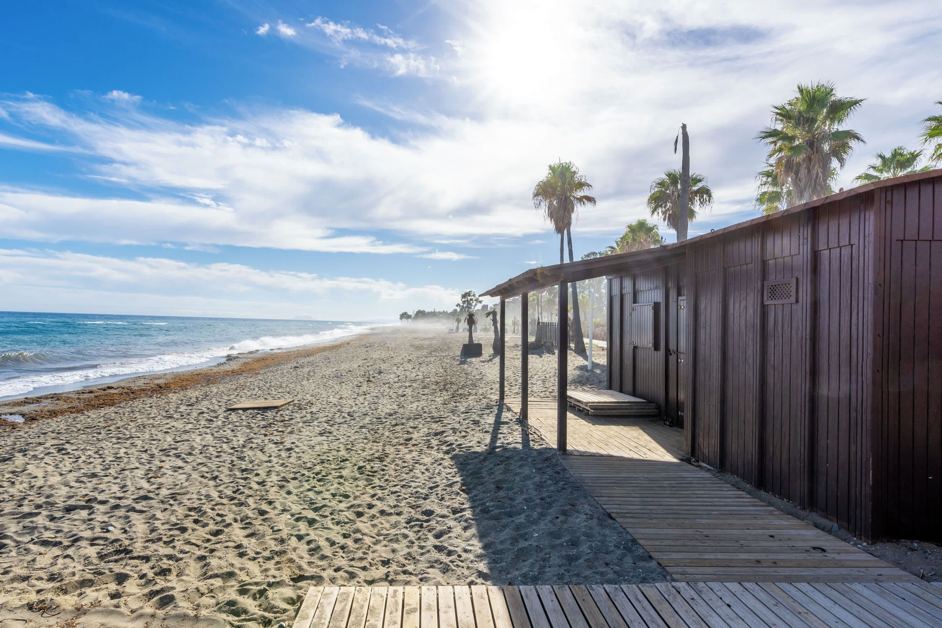 A wooden boardwalk leading to a beach with palm trees and a clear sky.