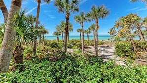 A pathway lined with palm trees leading to a beach.