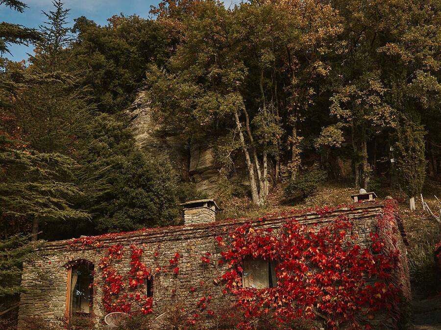 Un edificio de piedra con muros cubiertos de hiedra, un sendero de piedra y una ladera boscosa al fondo.
