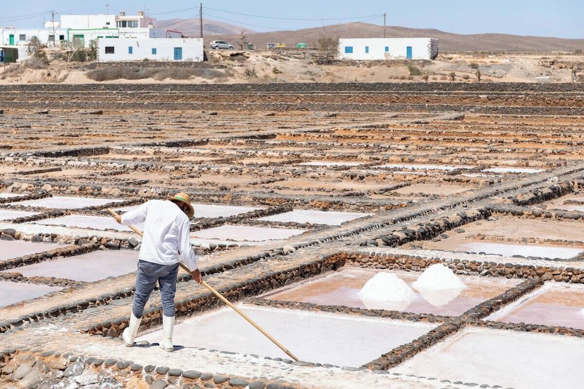A person working in a salt flat with rectangular pools, surrounded by white buildings with blue doors.