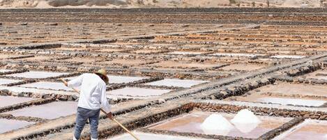 A person working in a salt flat with rectangular pools, surrounded by white buildings with blue doors.