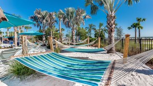 A beach area with hammocks and palm trees.