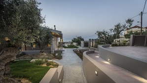 Un área residencial moderna con un sendero pavimentado, jardines bien cuidados y arquitectura contemporánea.