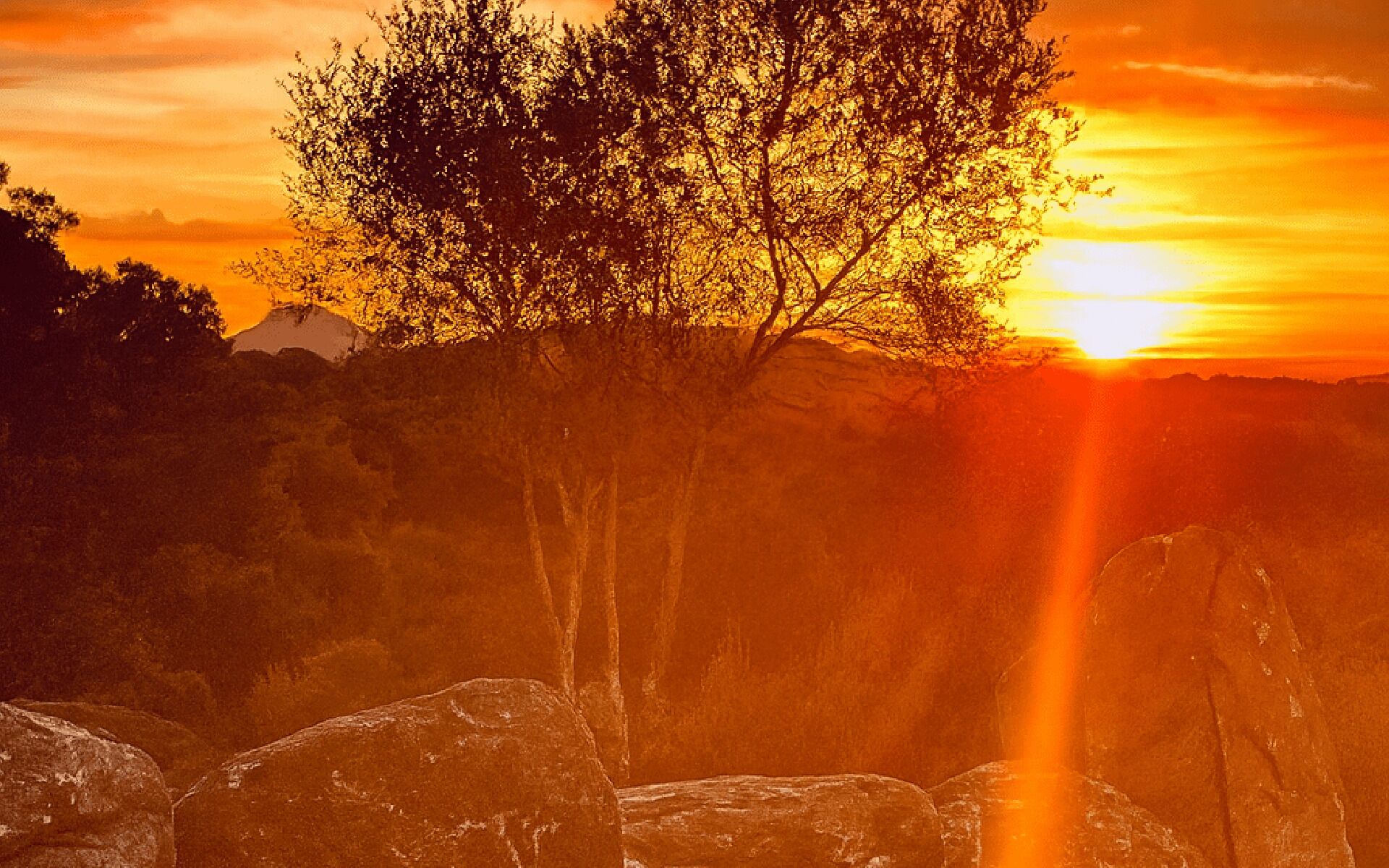A sunset over a rocky landscape with trees and a clear sky.