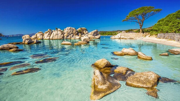 Escena costera despejada con grandes rocas en aguas poco profundas, un árbol a la derecha y una costa distante.