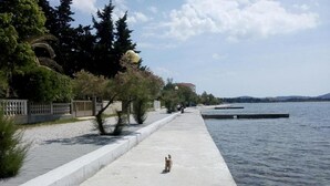 A concrete waterfront promenade with a dog walking along the path. - Apartments Franica - Three Bedroom Apartment with Terrace (Zadar)