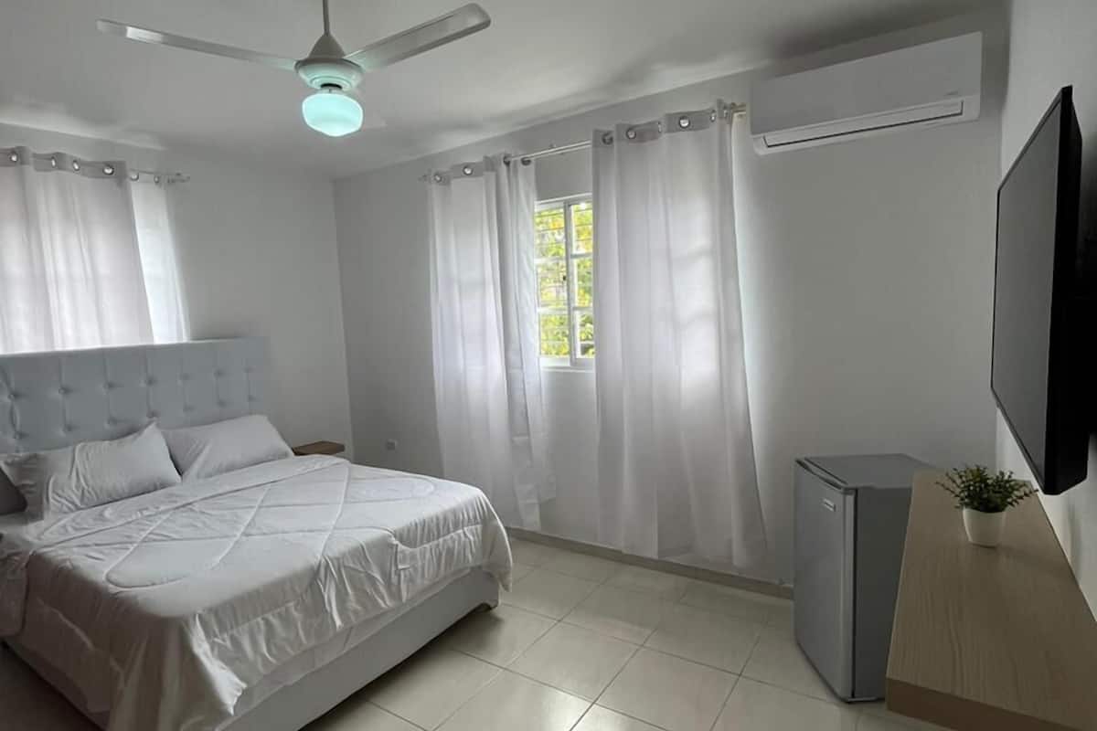 Une chambre avec un lit, un ventilateur de plafond, une fenêtre avec des rideaux, un téléviseur, un petit réfrigérateur et une plante.