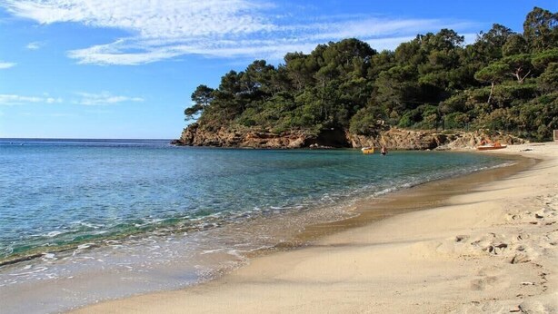 Ein Strand mit klarem türkisblauem Wasser, sandigem Ufer und einer bewaldeten Klippe im Hintergrund.