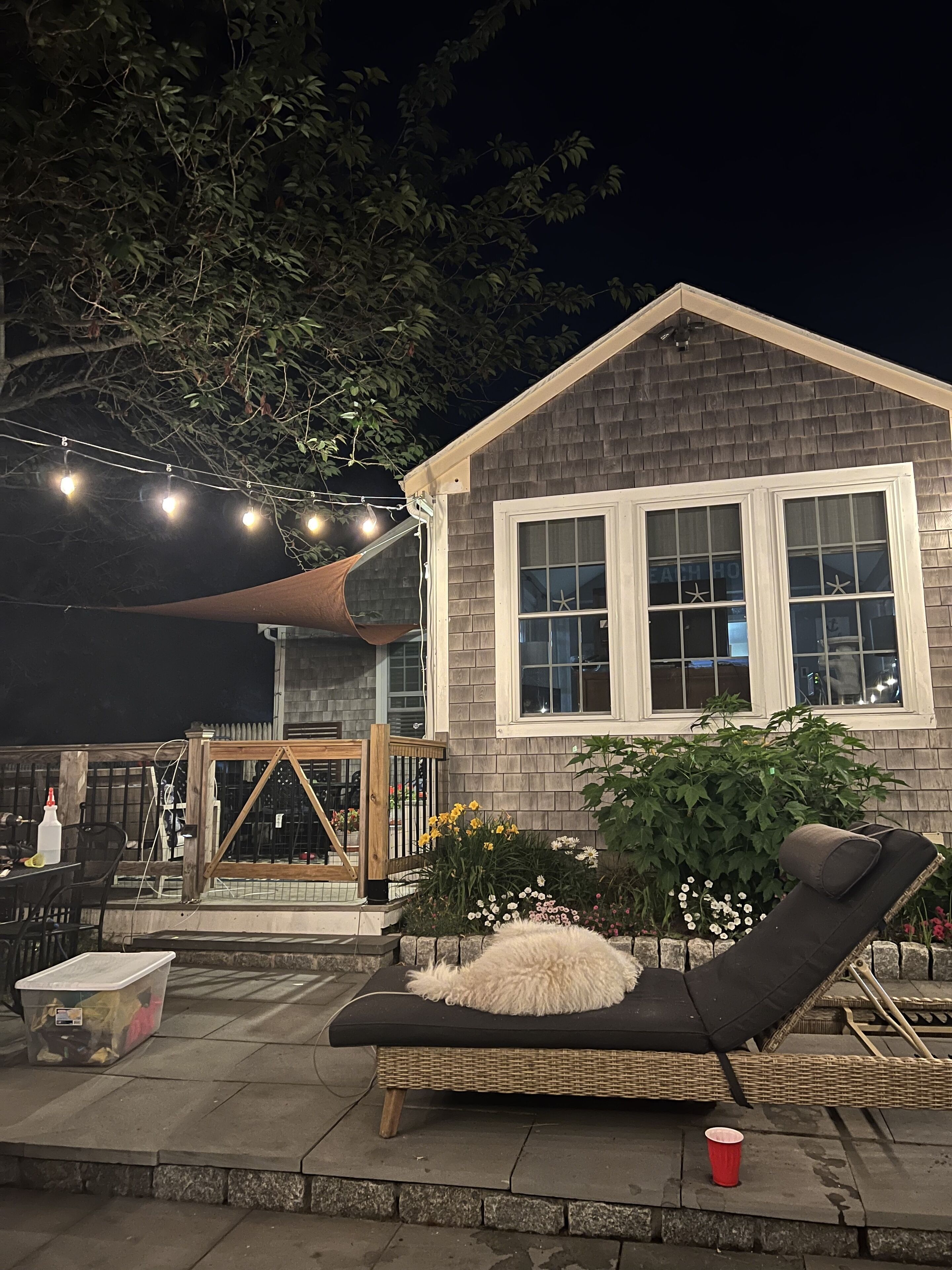 テラス / パティオ