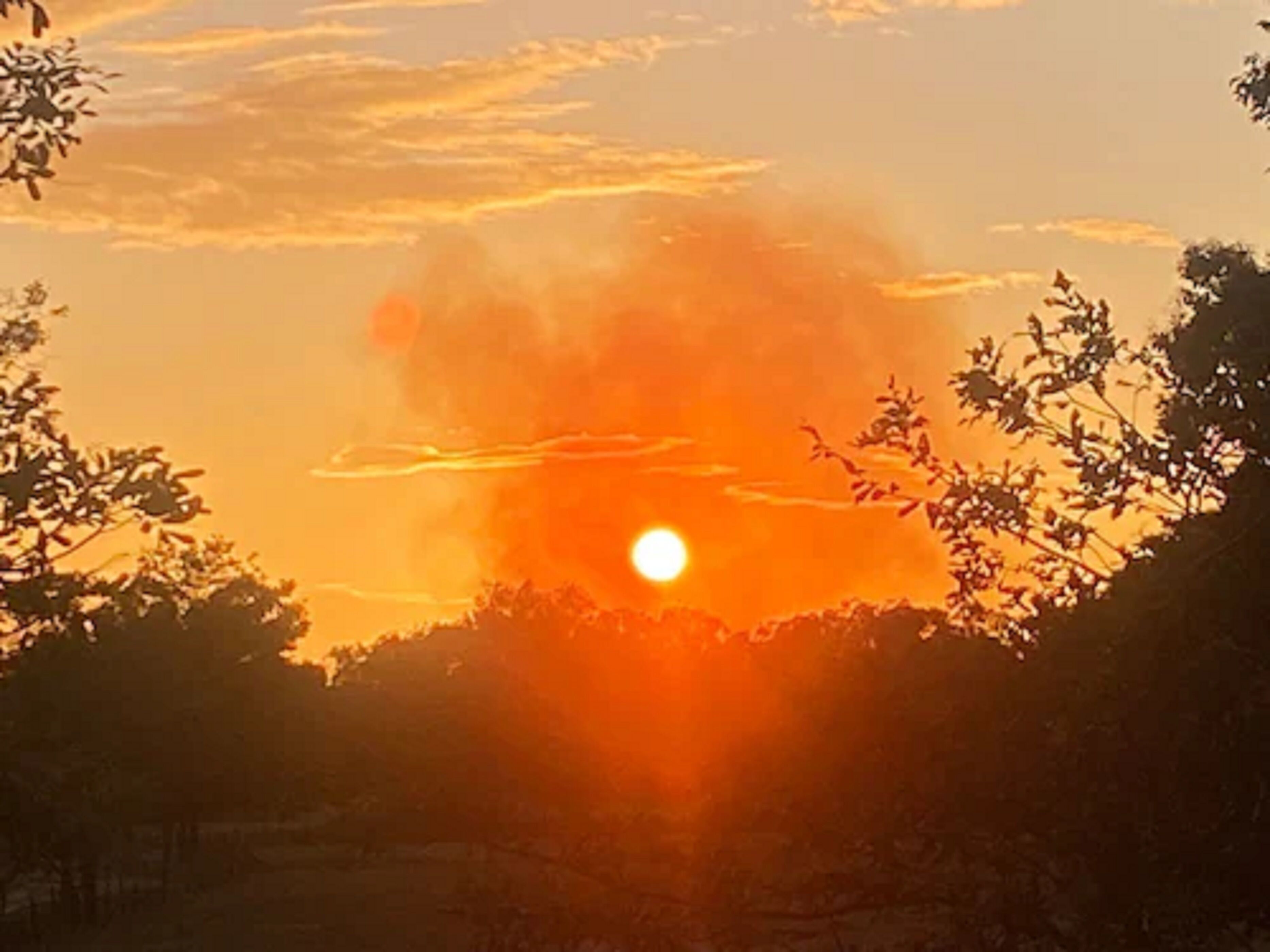 A sunset with the sun partially obscured by clouds, viewed through tree silhouettes.