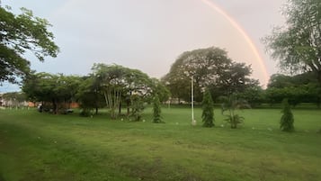 A park with trees and a grassy area.