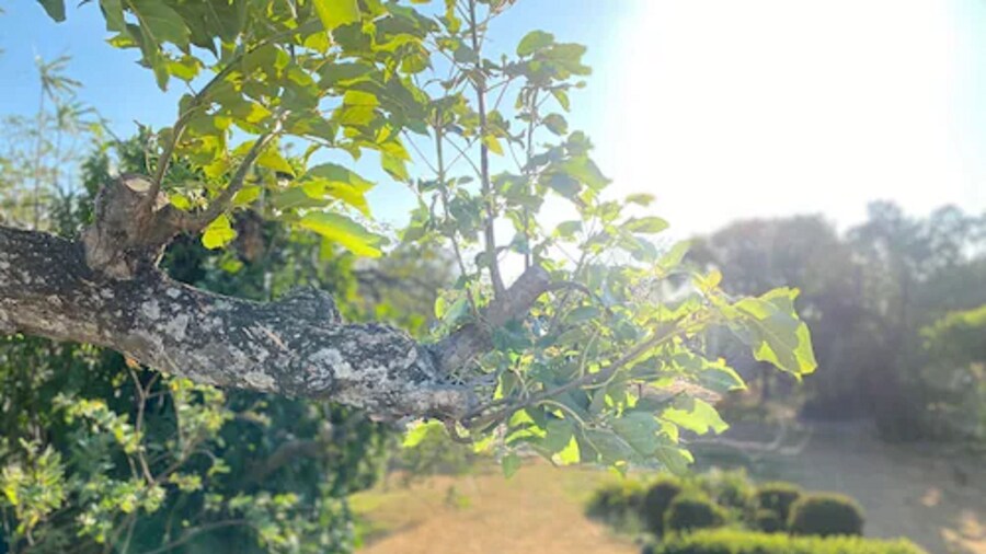 Hotel Del Aserradero