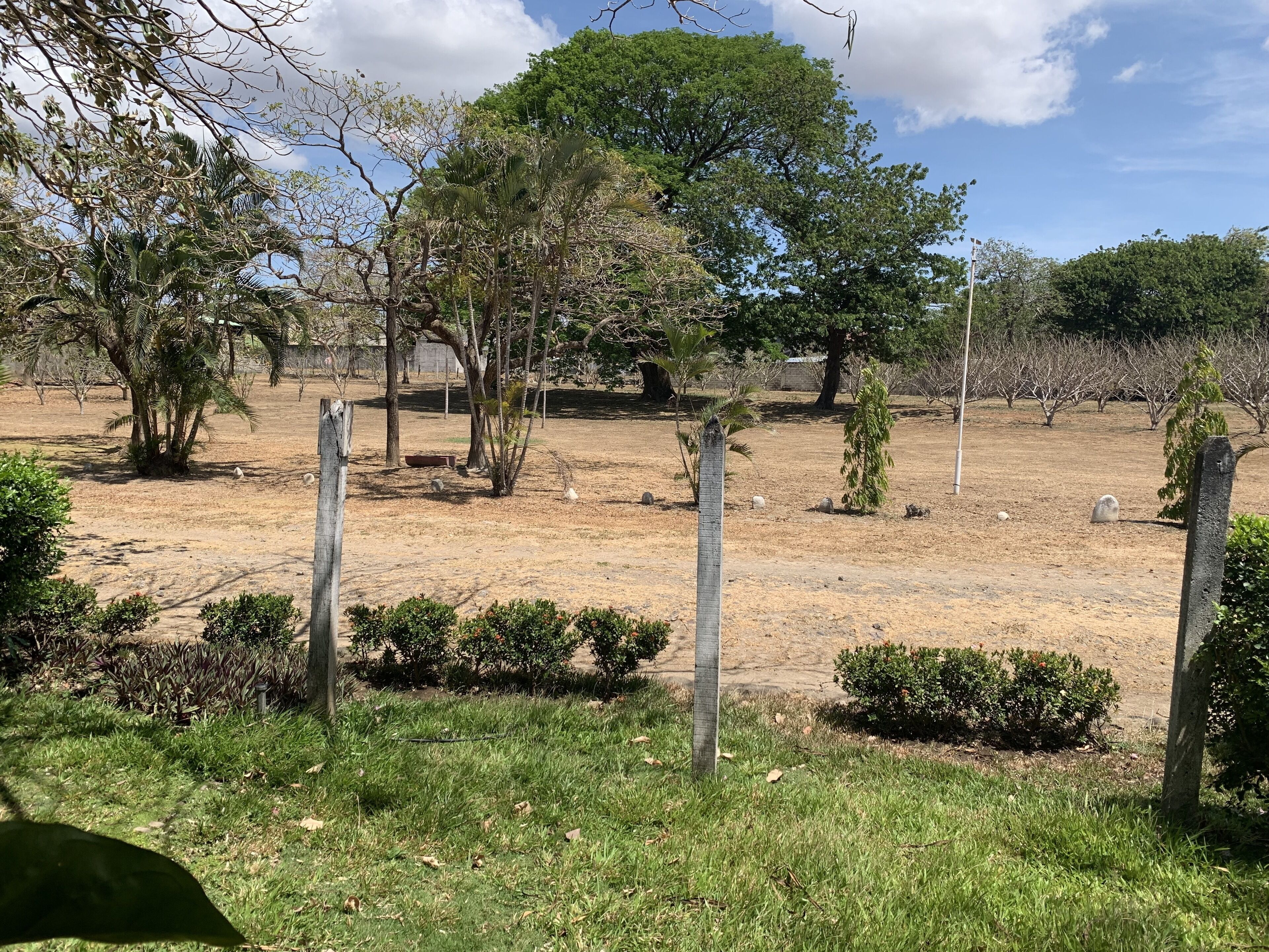 A dry, open field with sparse vegetation and a few trees.