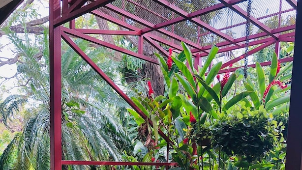 Taman
