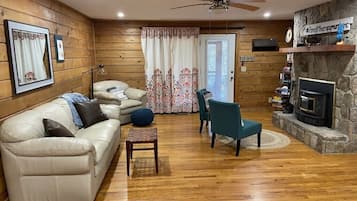 TV connectée, cheminée, lecteur de DVD, livres