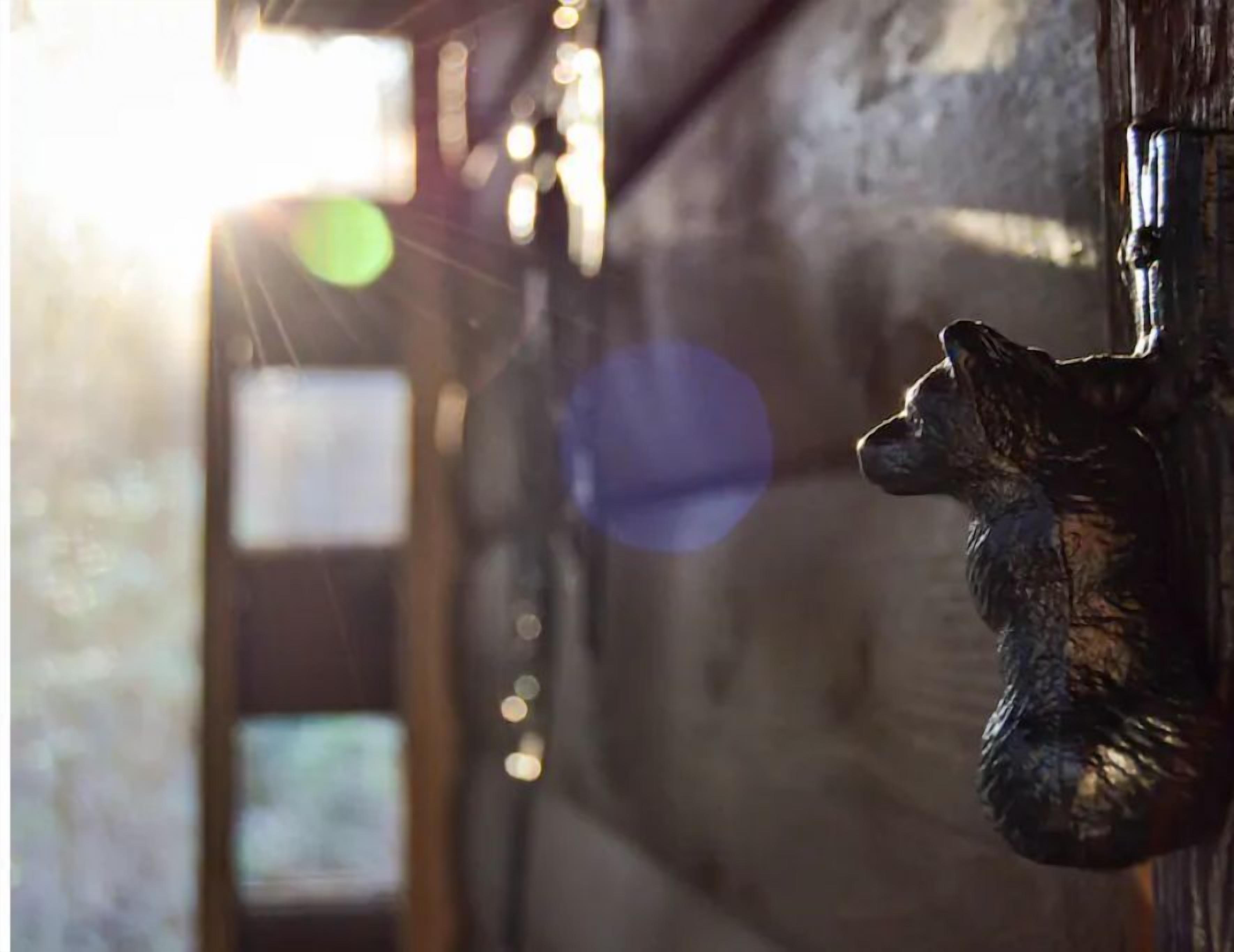 A dimly lit corridor with a bear-shaped decoration hanging on the wall.