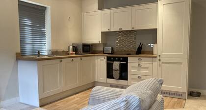 In the heart of the New Forest