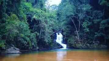 Ecotours