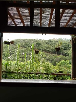 Classic Double Room, 1 Double Bed | Mountain view - pousada Vila Mathilde (Alfredo Chaves)