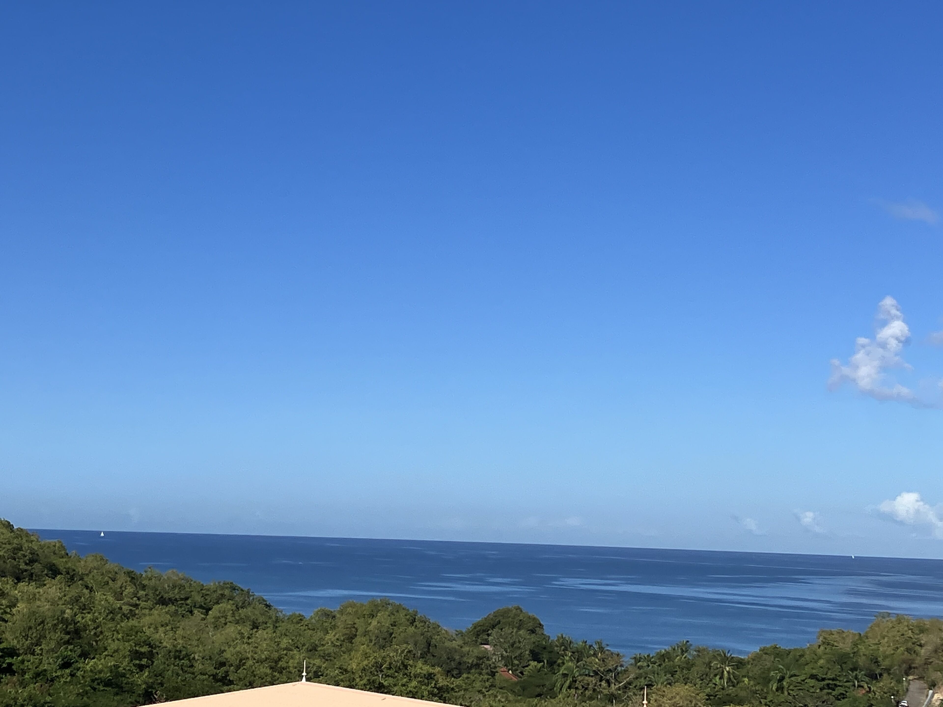 A coastal view with a clear sky, a distant sailboat, and dense greenery.