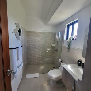Hair dryer, towels, soap, toilet paper
