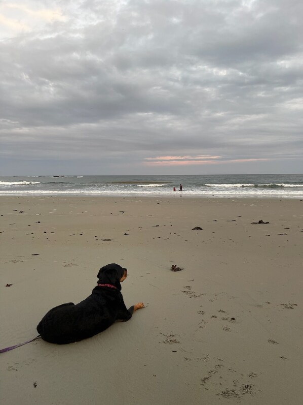 Plage à proximité