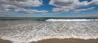 1 July week, 1 Aug week just opened! Steps to the beach, 1 dog welcome!