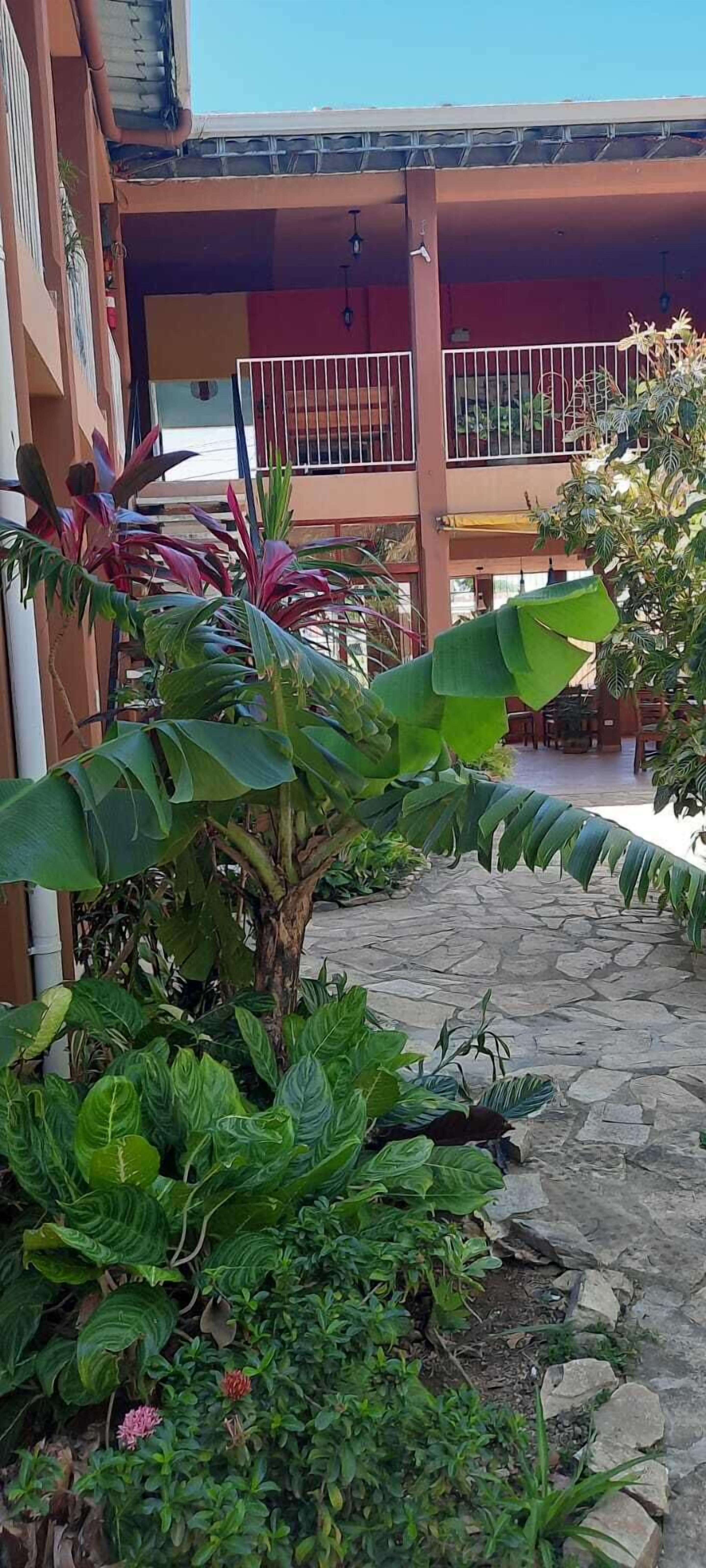 Blick auf den Garten