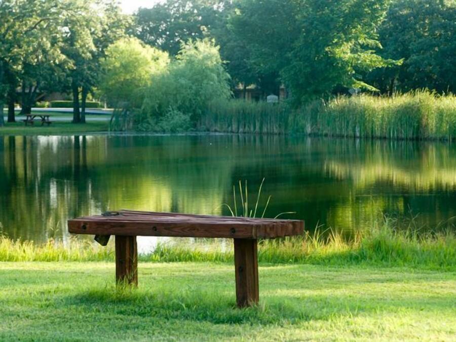 Een houten bank aan een rustig meer, met bomen op de achtergrond.