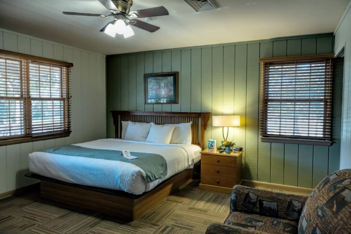 A bedroom with a bed, a nightstand, a lamp, and a ceiling fan.