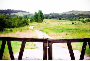 Outdoor wedding area