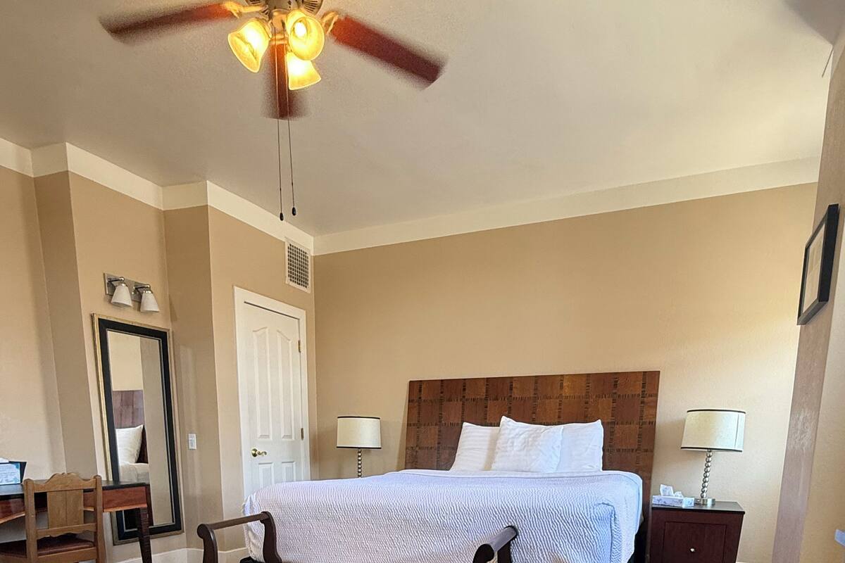 Hotelkamer met een bed, een bureau, een stoel, een spiegel, een nachtkastje en een plafondventilator.