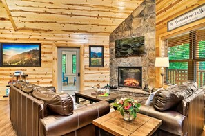 TV, caminetto, videogiochi, libri