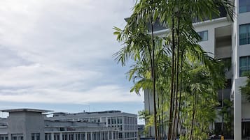 游泳池