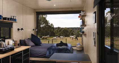 Sam the Tiny Cabin in Serpentine