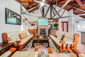 TV, fireplace, books