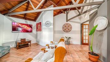 Fernseher, Kamin, Bücher