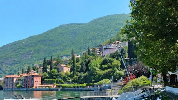 A waterfront area with boats docked, a bridge, and buildings on a hillside.