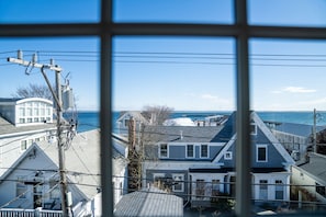 A coastal residential area with houses and utility poles.