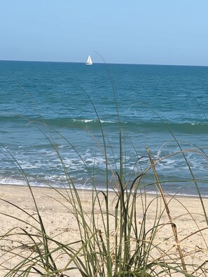 On the beach