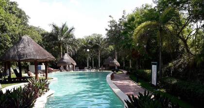 2 Bedroom Apartment in Puerto Morelos
