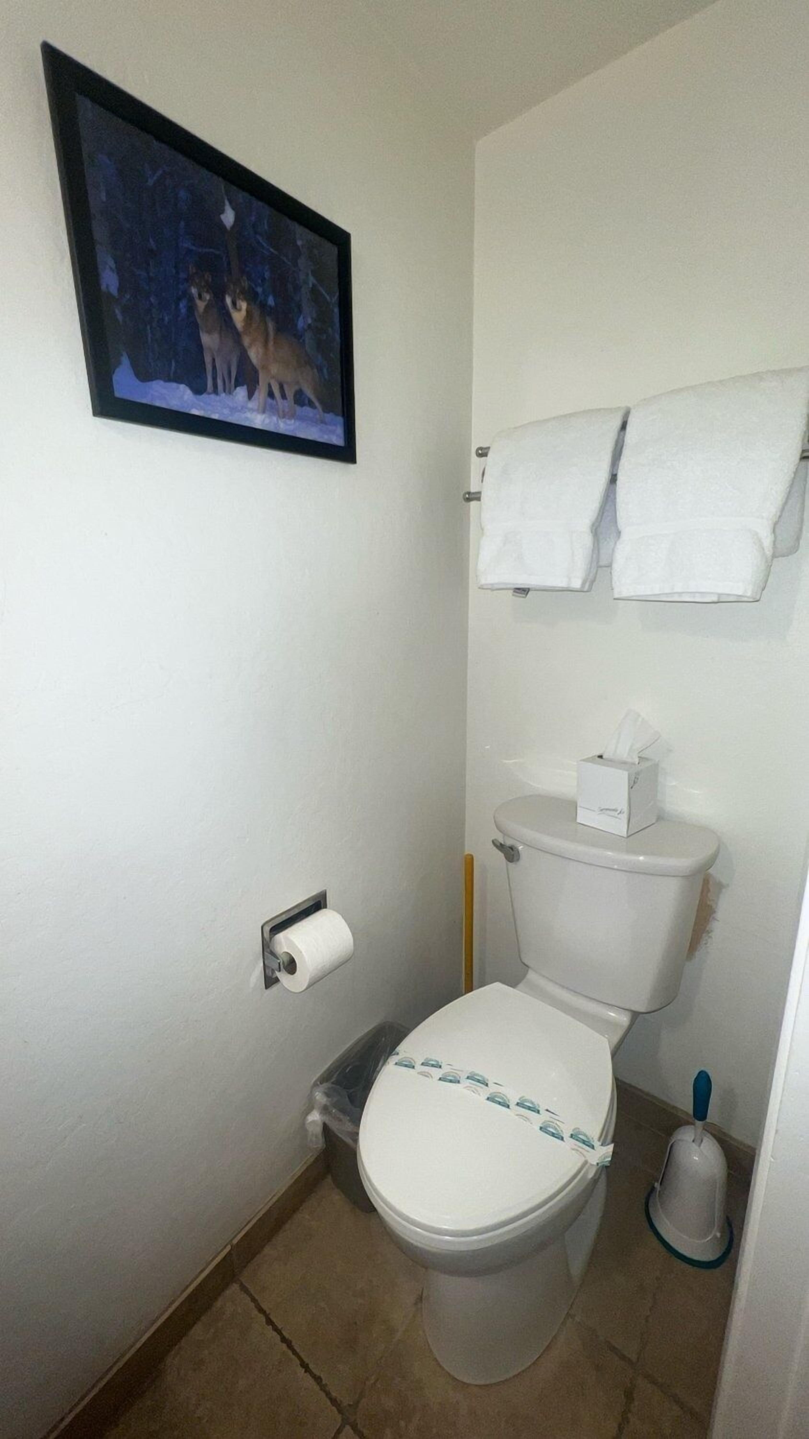 A small bathroom with a toilet, a roll of toilet paper, a trash bin, and a framed picture of dogs on the wall.
