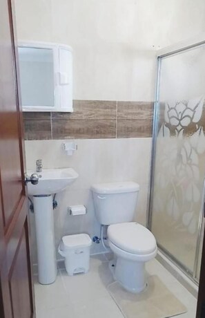 Haartrockner, Handtücher, Seife