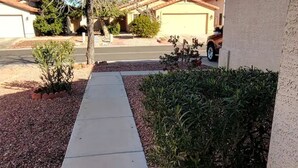 A residential driveway with a concrete path leading to a garage.