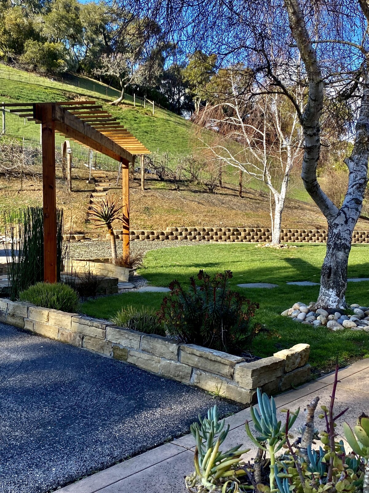 Imagen de perfil del propietario o de la propietaria