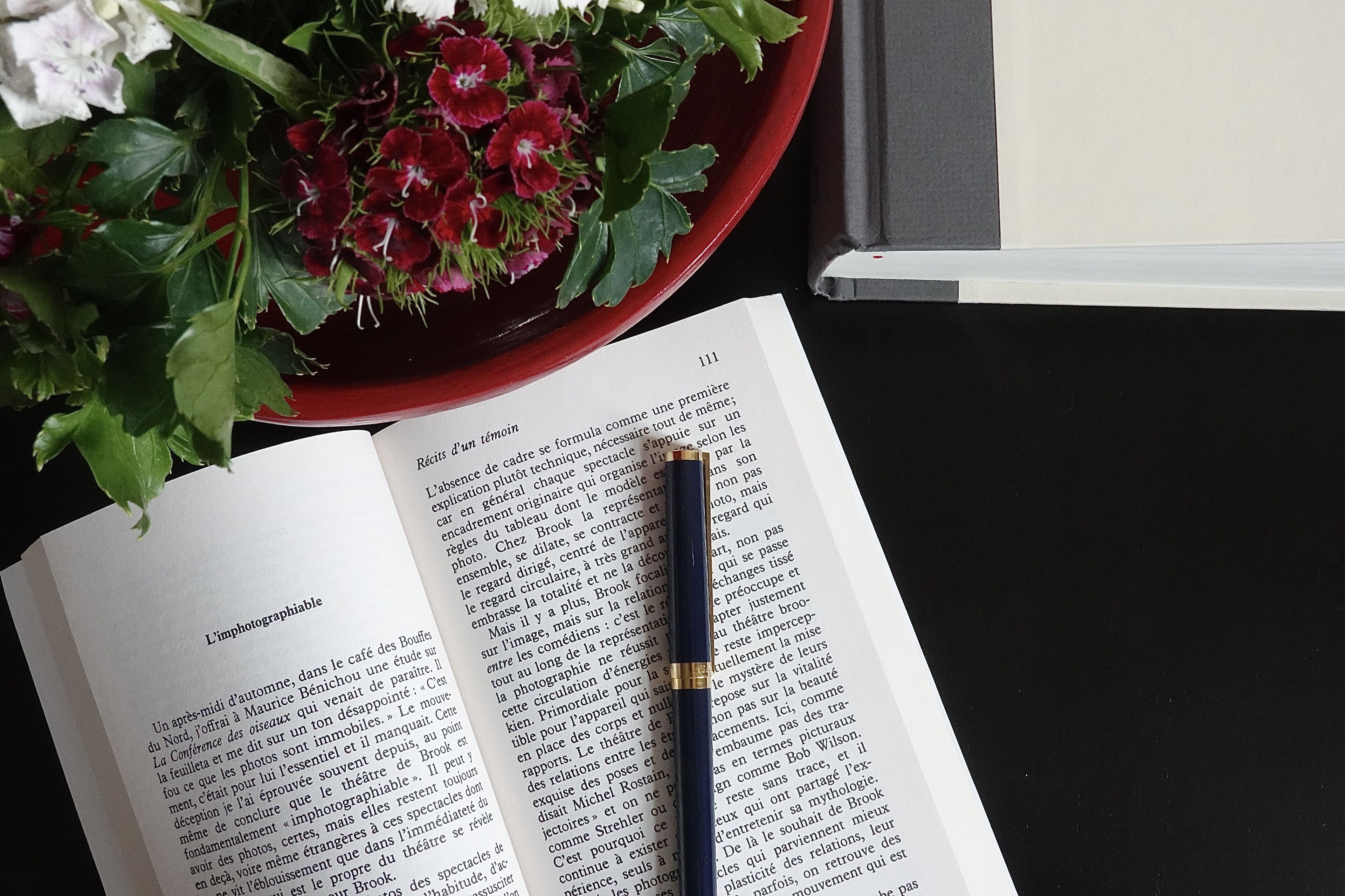 Un libro abierto con un bolígrafo encima, junto a un cuenco rojo con flores.