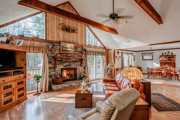 TV, fireplace, DVD player, books