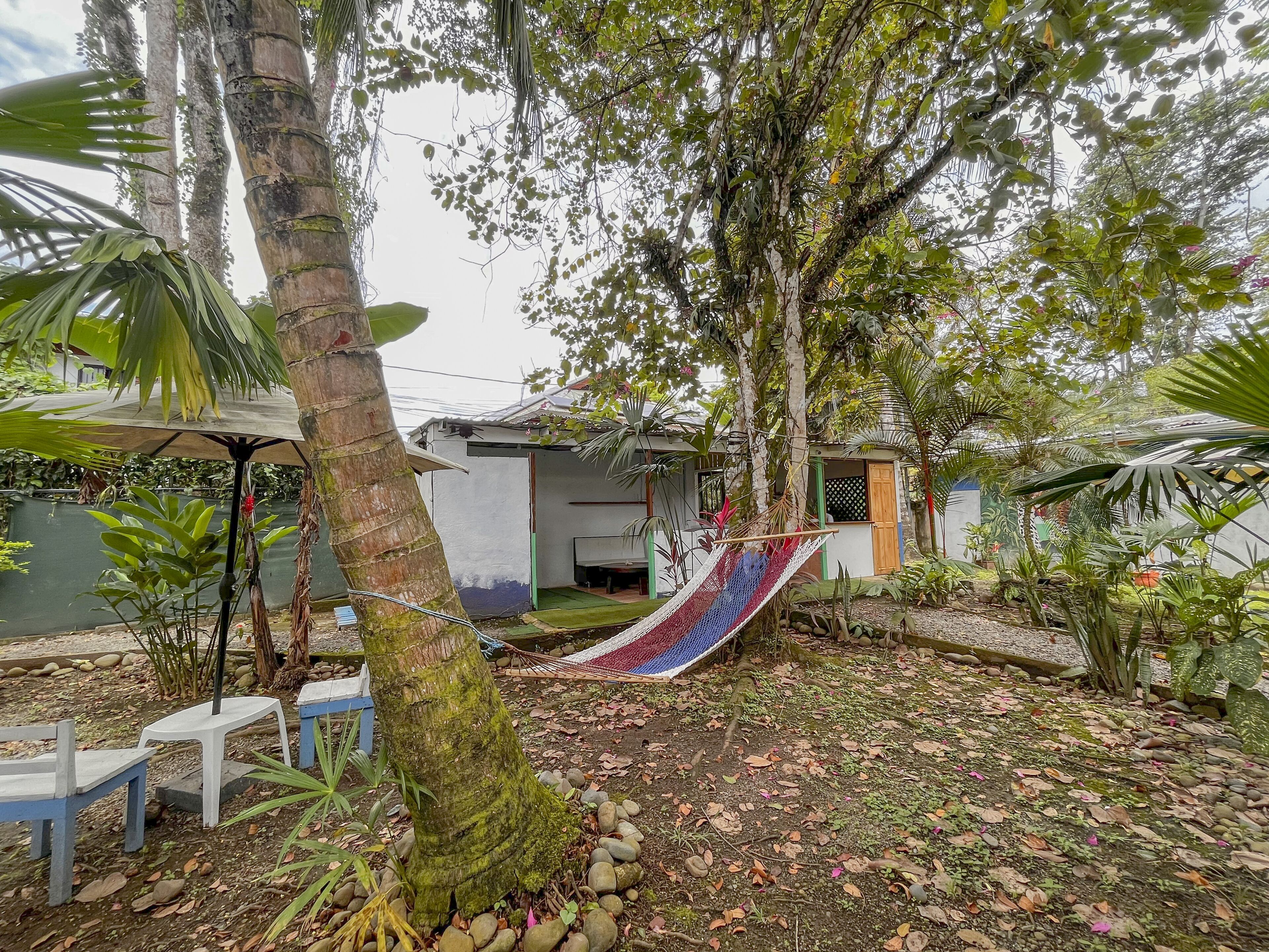 A hammock between trees in a garden with a house in the background.