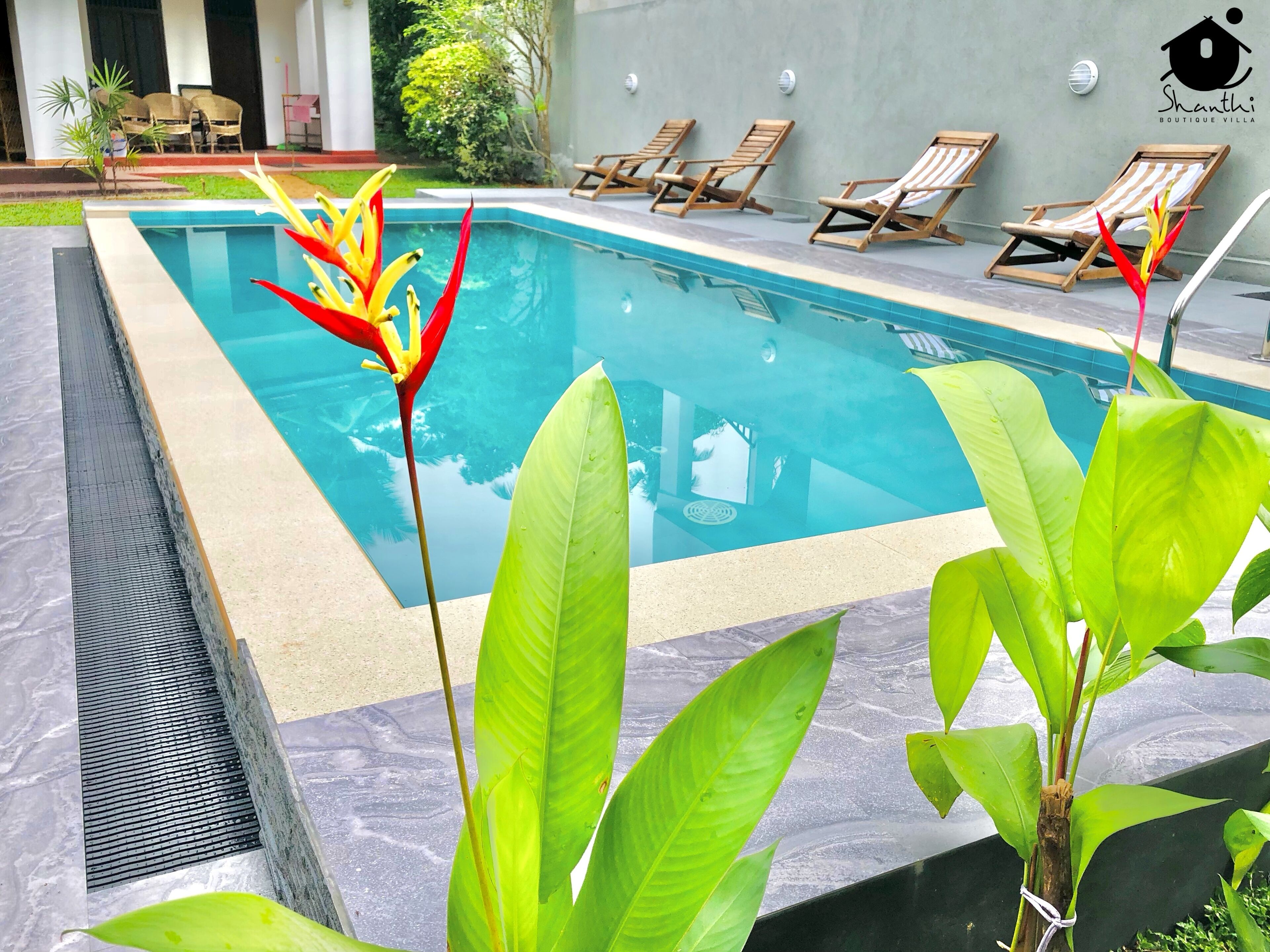Une piscine dotée de chaises longues et agrémentée de plantes tropicales.